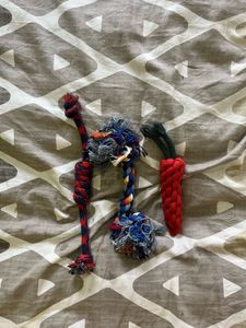 Dog Accessories Combo