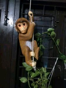 Monkey Showpieces