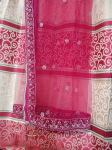Pink Embroidered Lehenga💗✨