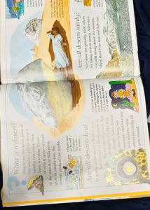 I Wonder Why Children's Book