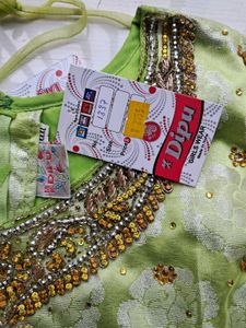 Heavy Worked Double Coloured Lehenga Choli (Women)