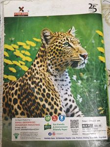 Ncert Biology Notes Class 12
