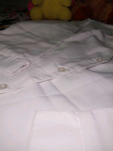 Plain White Shirt