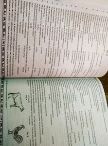 🔴NEET Dr Ali BiologyClass 12