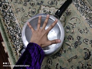 Never Used Light Weight Induction Cooker