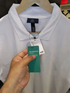 OLD MONEY KNITTED POLO T-SHIRT 🔥🔥