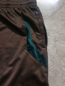 Brown Casual Shorts