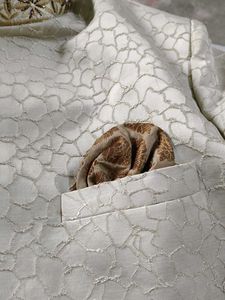 Elegant Sherwani