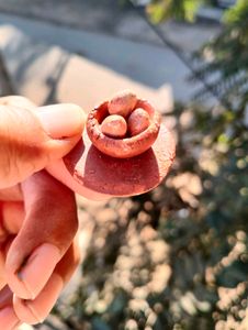 Miniature Clay Food Set