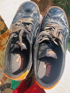 Puma Shoe