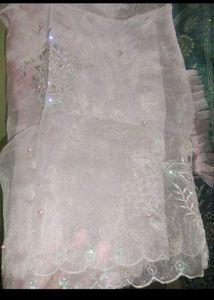New Organza Kurta Set