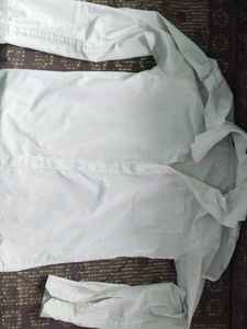 Classic White Button-Down Shirt