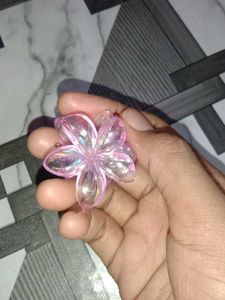 Hair Clips