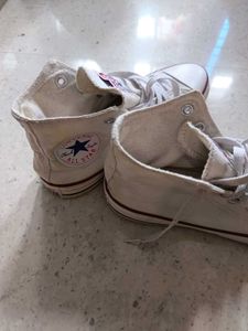 Converse Shoes