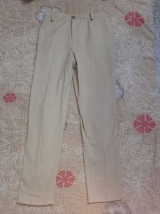 Beige Straight Leg Pants