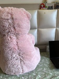 Teddy Bear (2 Feet) Ht