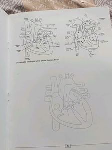 Class 10 Science Diagram Prastick Book