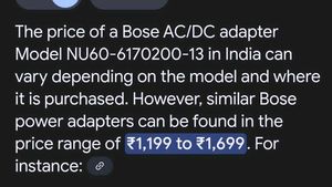 Bose AC/DC Power Adapter