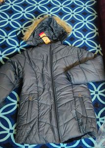 Ellipse Jacket For Women