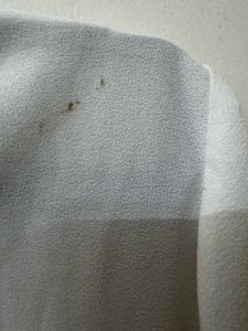 Zara Imported Lace Top