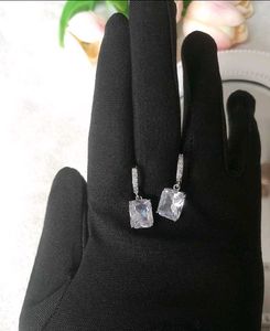 crushed ice ad earrings / earhoops (anti tarnish)