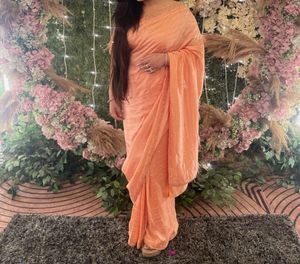 Beautiful Peach Saree with Feather Detail