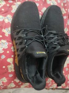 Campus Shoes