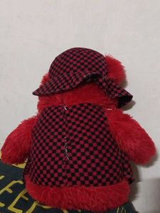 Teddy Bear 🧸