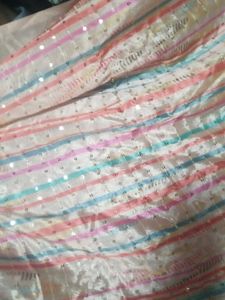 Multi Colour Dupatta