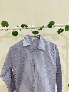 Striped Button-Down Shirt