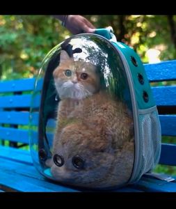 Pet Carrier Bag