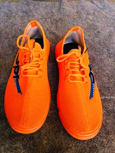 UPR Shoe