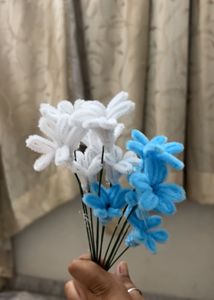 Small daisy