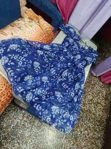 Beautiful Organza Kurta