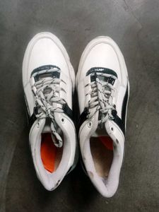 Girls Sneakers