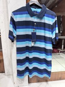 Striped Polo Shirt