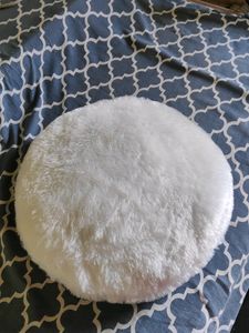 Furry  Cushion