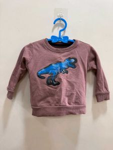 9 To 12 Month Sweatshirt,( Pack Of 3)
