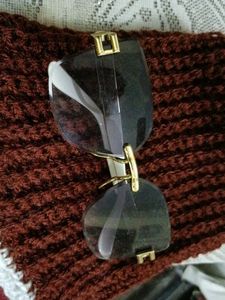 Sunglasses with Brown Hat
