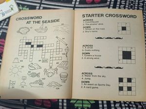 Junior Puzzle Book