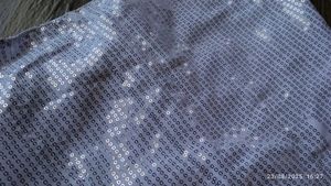 Sequin Party Blouse