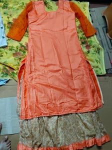 Elegant Ethnic Dress