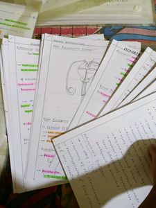 Handwritten Class 12 Zoology Notes