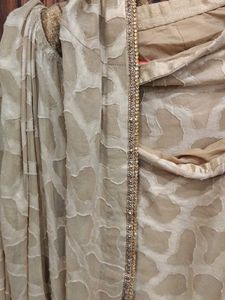 Elegant Beige Saree
