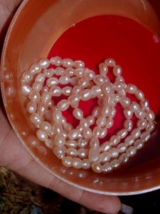 5 Big Size Mala Combo 🥰