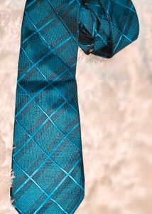 Zodiac Branded Blue Plaid Tie Pure Silk