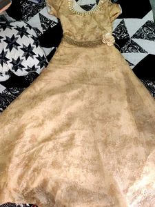 Elegant Ethnic Gown