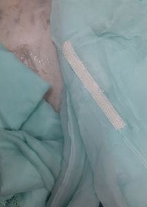 Pure Organza Suit With Brush Paint