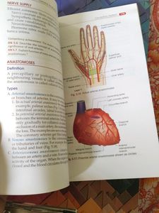 Handbook Of Anatomy