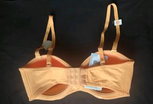 34C Strapless Padded Bra (Wired)